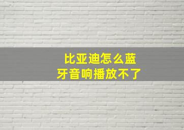 比亚迪怎么蓝牙音响播放不了