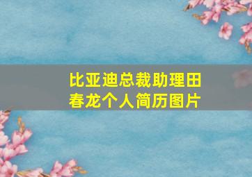 比亚迪总裁助理田春龙个人简历图片