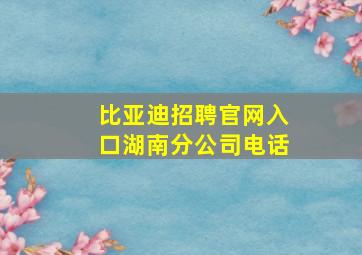 比亚迪招聘官网入口湖南分公司电话