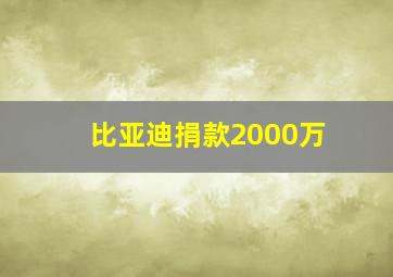 比亚迪捐款2000万