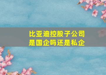 比亚迪控股子公司是国企吗还是私企