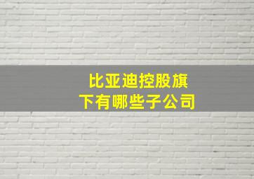 比亚迪控股旗下有哪些子公司