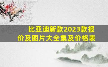 比亚迪新款2023款报价及图片大全集及价格表