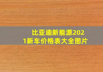 比亚迪新能源2021新车价格表大全图片