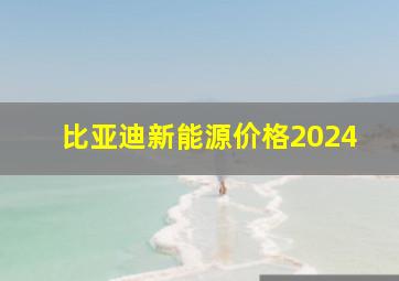 比亚迪新能源价格2024