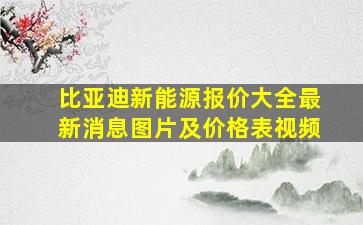 比亚迪新能源报价大全最新消息图片及价格表视频