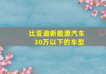 比亚迪新能源汽车30万以下的车型