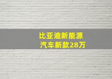 比亚迪新能源汽车新款28万