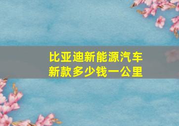 比亚迪新能源汽车新款多少钱一公里