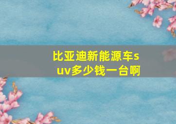 比亚迪新能源车suv多少钱一台啊