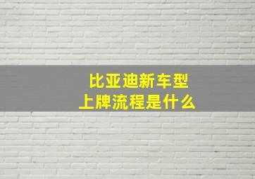 比亚迪新车型上牌流程是什么