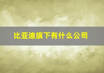 比亚迪旗下有什么公司