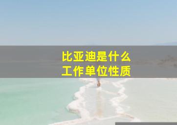 比亚迪是什么工作单位性质