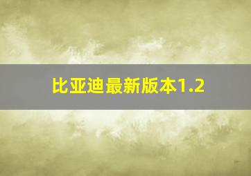 比亚迪最新版本1.2