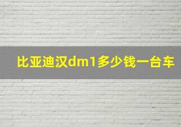 比亚迪汉dm1多少钱一台车