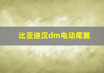 比亚迪汉dm电动尾翼