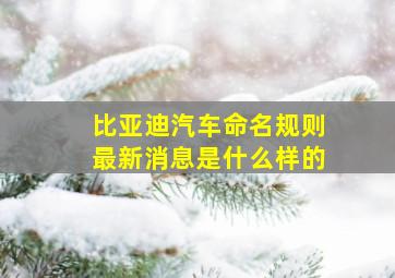 比亚迪汽车命名规则最新消息是什么样的