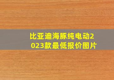 比亚迪海豚纯电动2023款最低报价图片