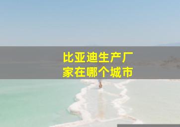 比亚迪生产厂家在哪个城市