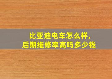 比亚迪电车怎么样,后期维修率高吗多少钱