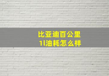 比亚迪百公里1l油耗怎么样