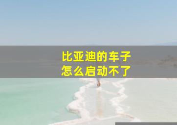 比亚迪的车子怎么启动不了