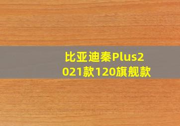 比亚迪秦Plus2021款120旗舰款