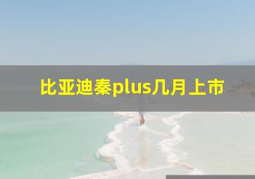 比亚迪秦plus几月上市