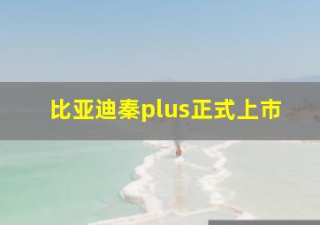 比亚迪秦plus正式上市