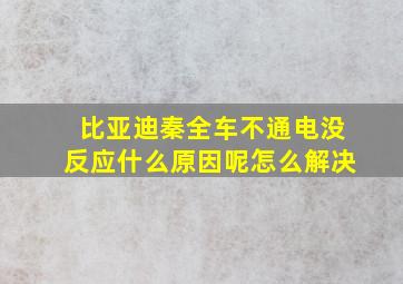 比亚迪秦全车不通电没反应什么原因呢怎么解决