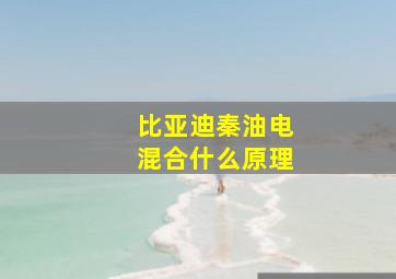 比亚迪秦油电混合什么原理