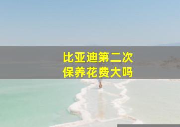 比亚迪第二次保养花费大吗