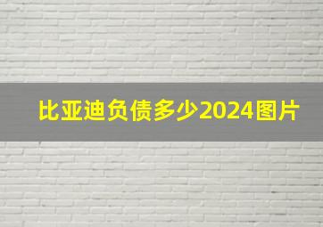 比亚迪负债多少2024图片