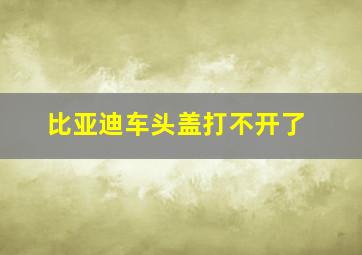 比亚迪车头盖打不开了