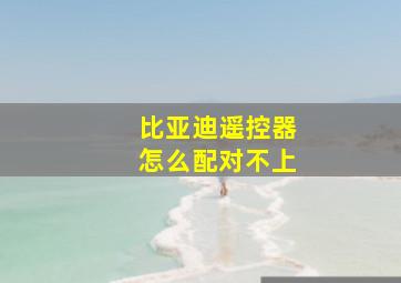 比亚迪遥控器怎么配对不上