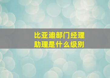 比亚迪部门经理助理是什么级别