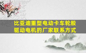 比亚迪重型电动卡车轮股驱动电机的厂家联系方式