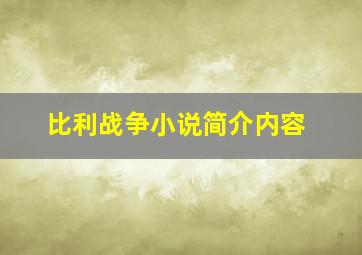 比利战争小说简介内容