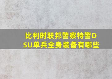 比利时联邦警察特警DSU单兵全身装备有哪些