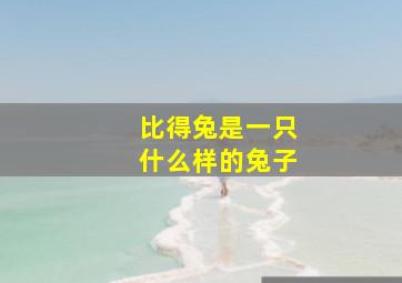 比得兔是一只什么样的兔子