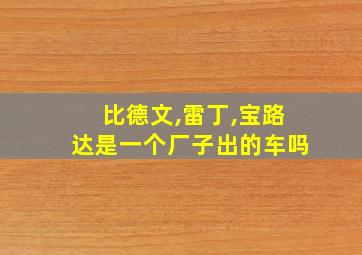 比德文,雷丁,宝路达是一个厂子出的车吗