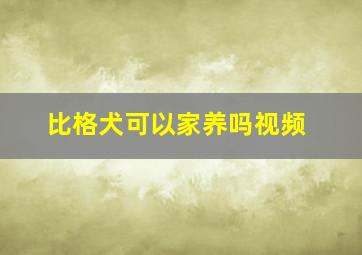 比格犬可以家养吗视频