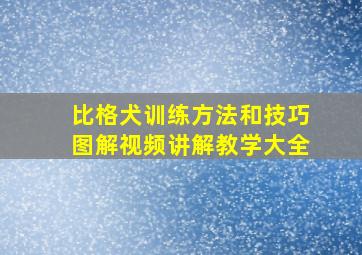 比格犬训练方法和技巧图解视频讲解教学大全