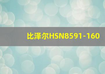 比泽尔HSN8591-160