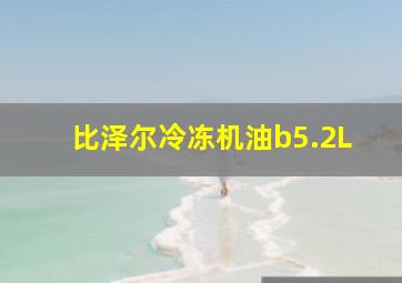 比泽尔冷冻机油b5.2L