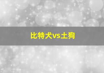 比特犬vs土狗