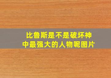 比鲁斯是不是破坏神中最强大的人物呢图片