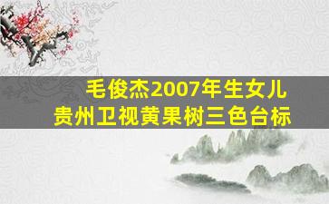 毛俊杰2007年生女儿贵州卫视黄果树三色台标