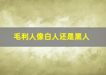 毛利人像白人还是黑人