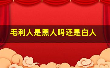 毛利人是黑人吗还是白人